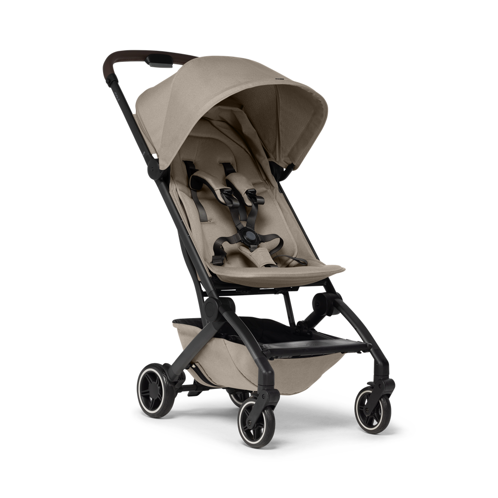 Buggy and baby shop hot sale