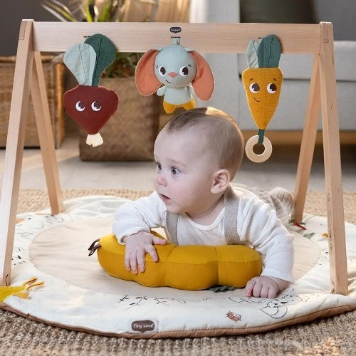 Tiny Love Luxe Gymini Garden of Adventures– Baby Moon Baby Shop